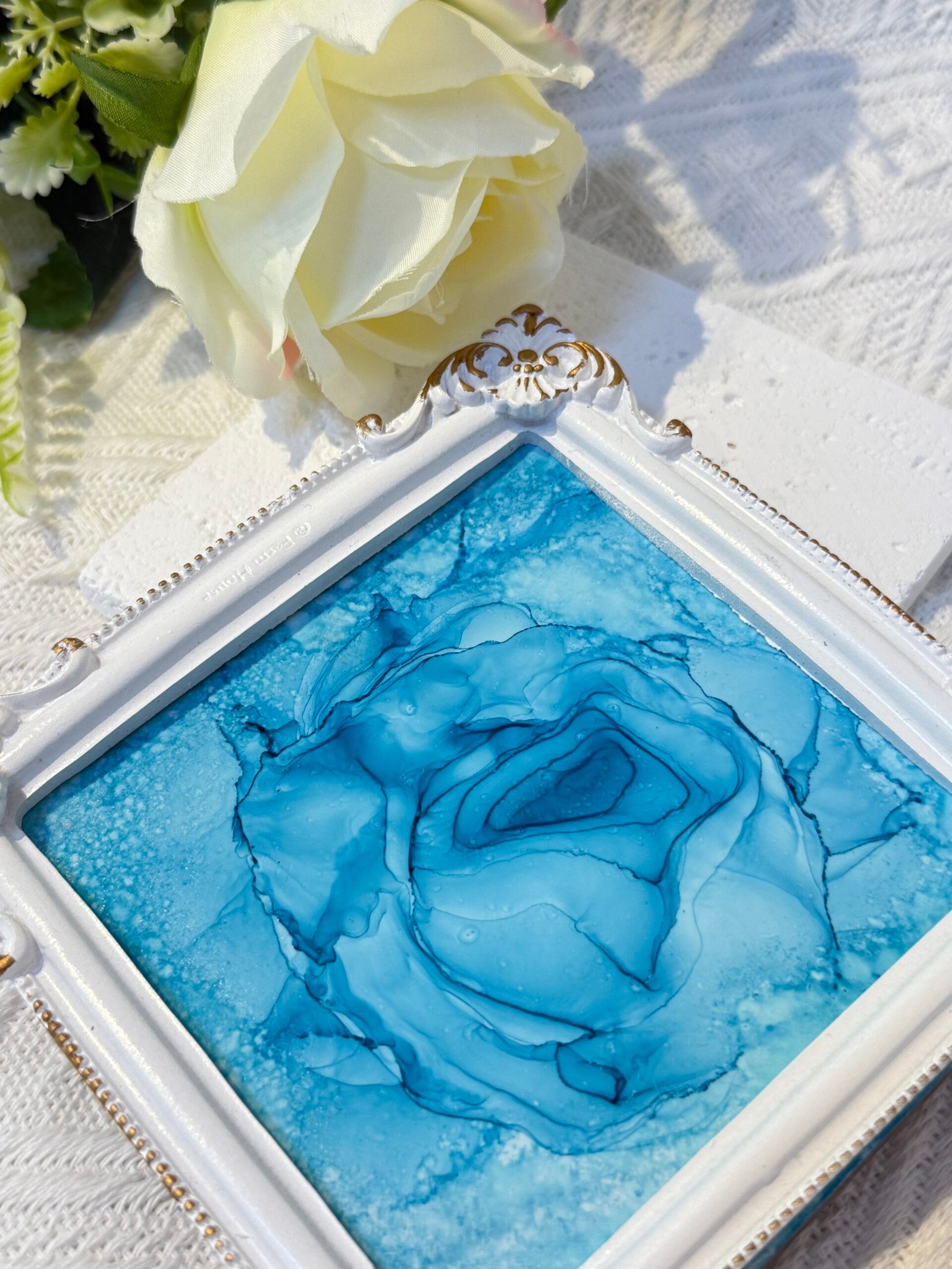 海之花 · 靜柔綻放